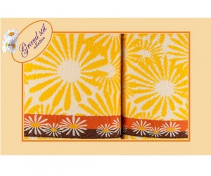 Астра (Гербера) набор Гранд (48*90+70*135) набор в коробке Гр.ст.