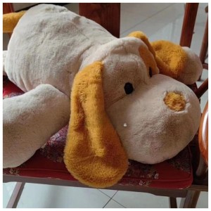 Игрушка-плед Собака КЛ